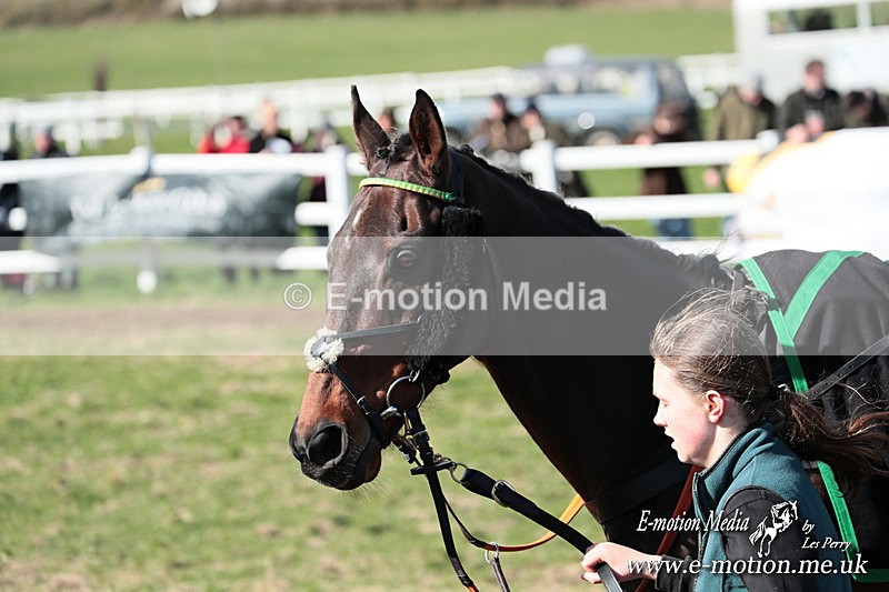 PtP 230324 639 - Tedworth Hunt PtP Larkhill Raccourse 23rd March 2024