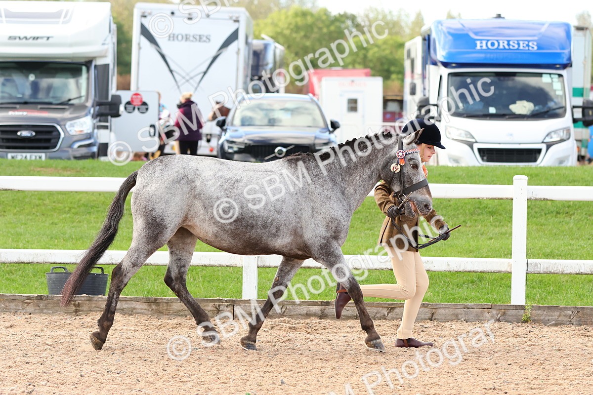 SBM_09204 - Class 204 - Young Handler