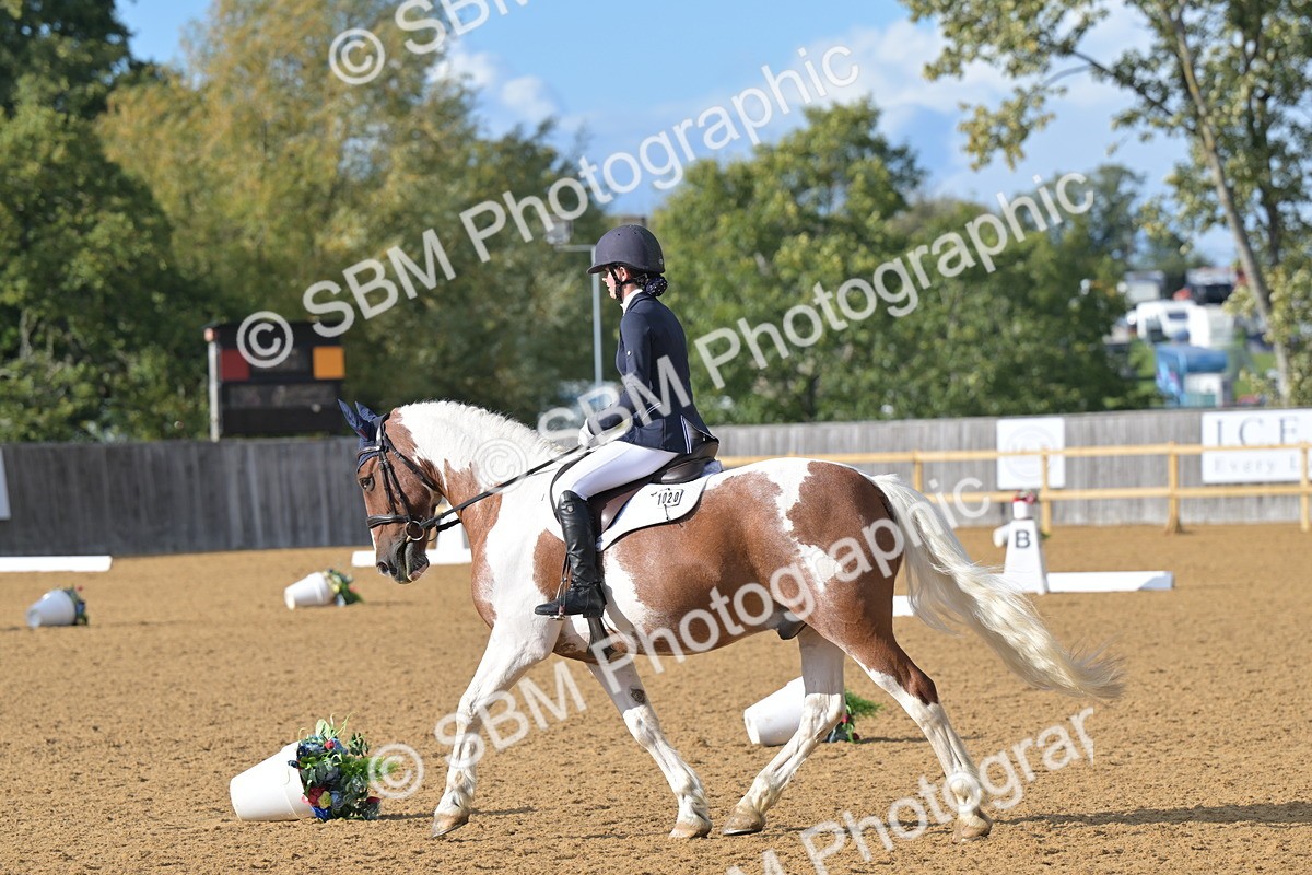 SBM_12933 - D3 - Small Tour Championship Intro 3