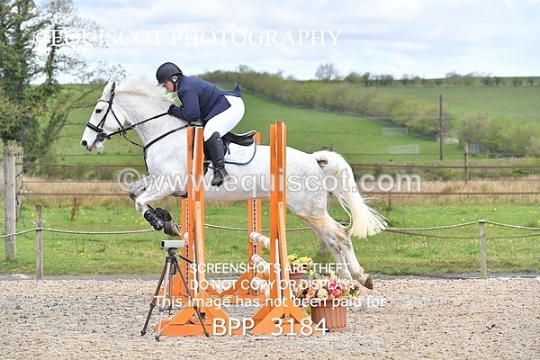 BPP_3184 - CLASS 2 Club/ Unaffiliated 80cms Open