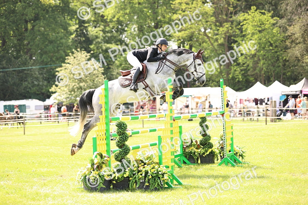 SBM_03171 - Class 201 - British Horse Feedds Speedi Beet HOYS Grade C