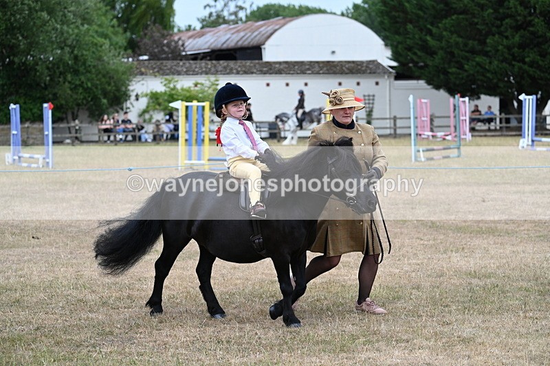 WJ7_8506 - Class 4 Prettiest Mare up to 14.2hh