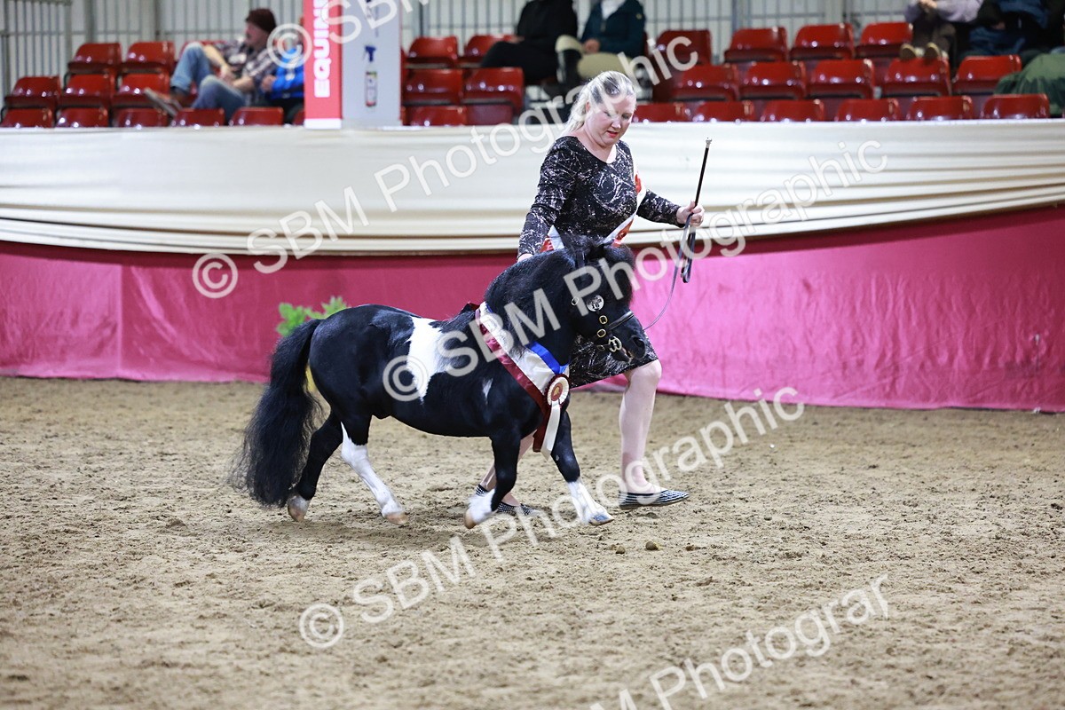 SBM_20873 - Class L - Coloured Champ