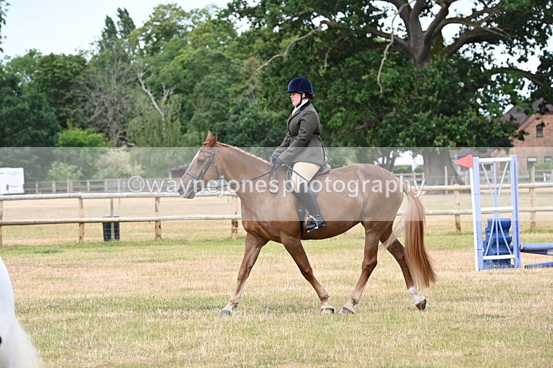 WJ6_3826 - Class 9 Tack & Turnout