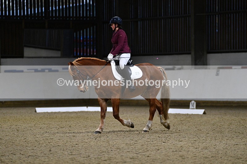 WJ5_8615 - Class 5 Novice Test 3