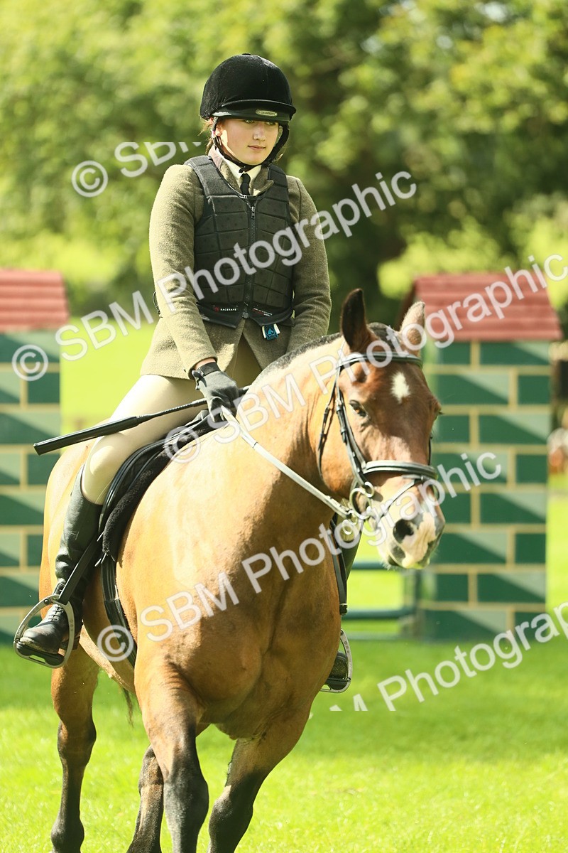SBM_42110 - S29 - Novice & Newcomers Working Hunter Pony