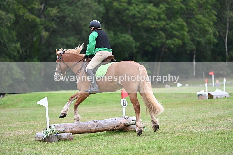 WJ7_7831 - 40cm Time 10:49 to 11:18