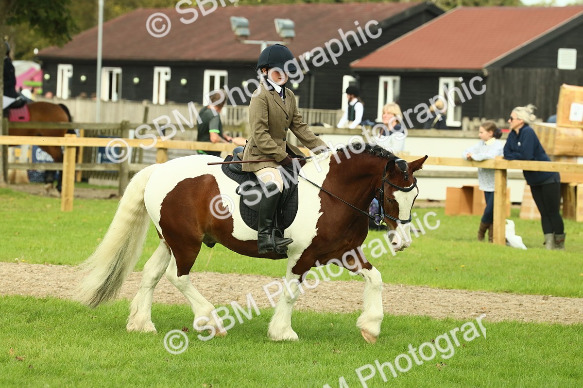 SBM_68230 - S58 - Mini Show Cob Ridden