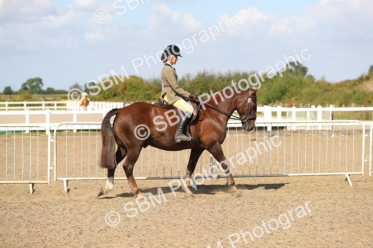 SBM_03096 - Class 44 Riding Club Horse/ Pony