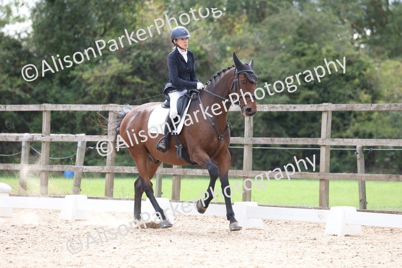 20260923-0442 - Class 7 - Novice 2