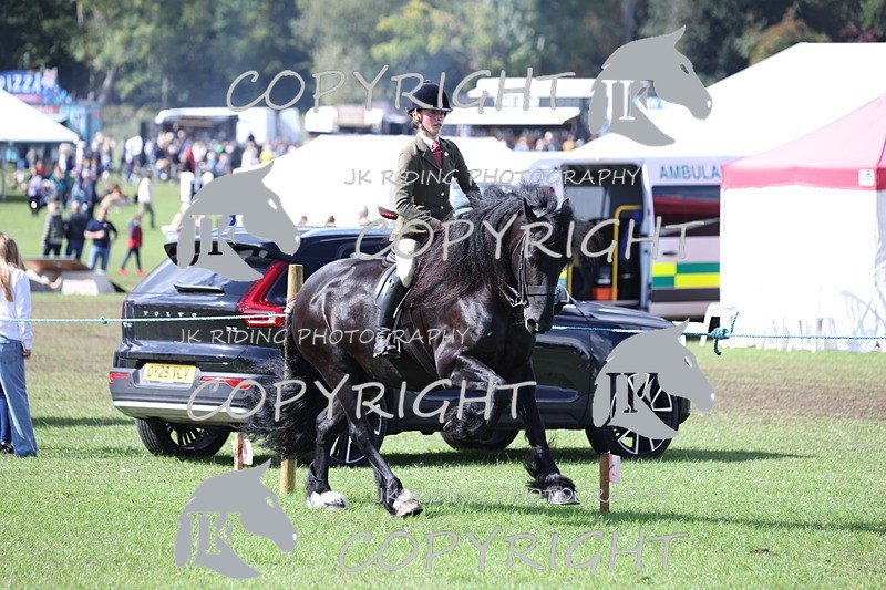 APP_3536 - Class 12 M&M ridden