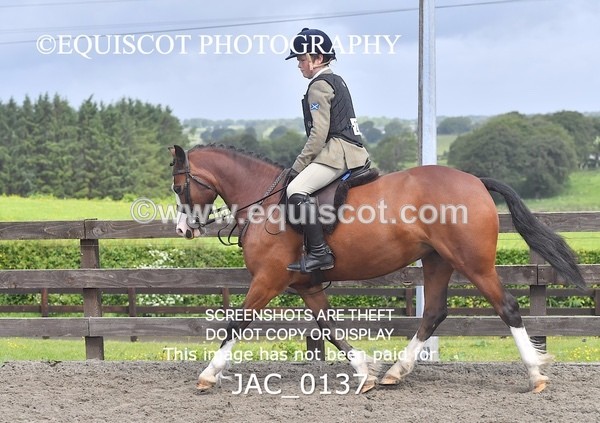 JAC_0137 - CHAMPIONSHIPS AND SUPREME