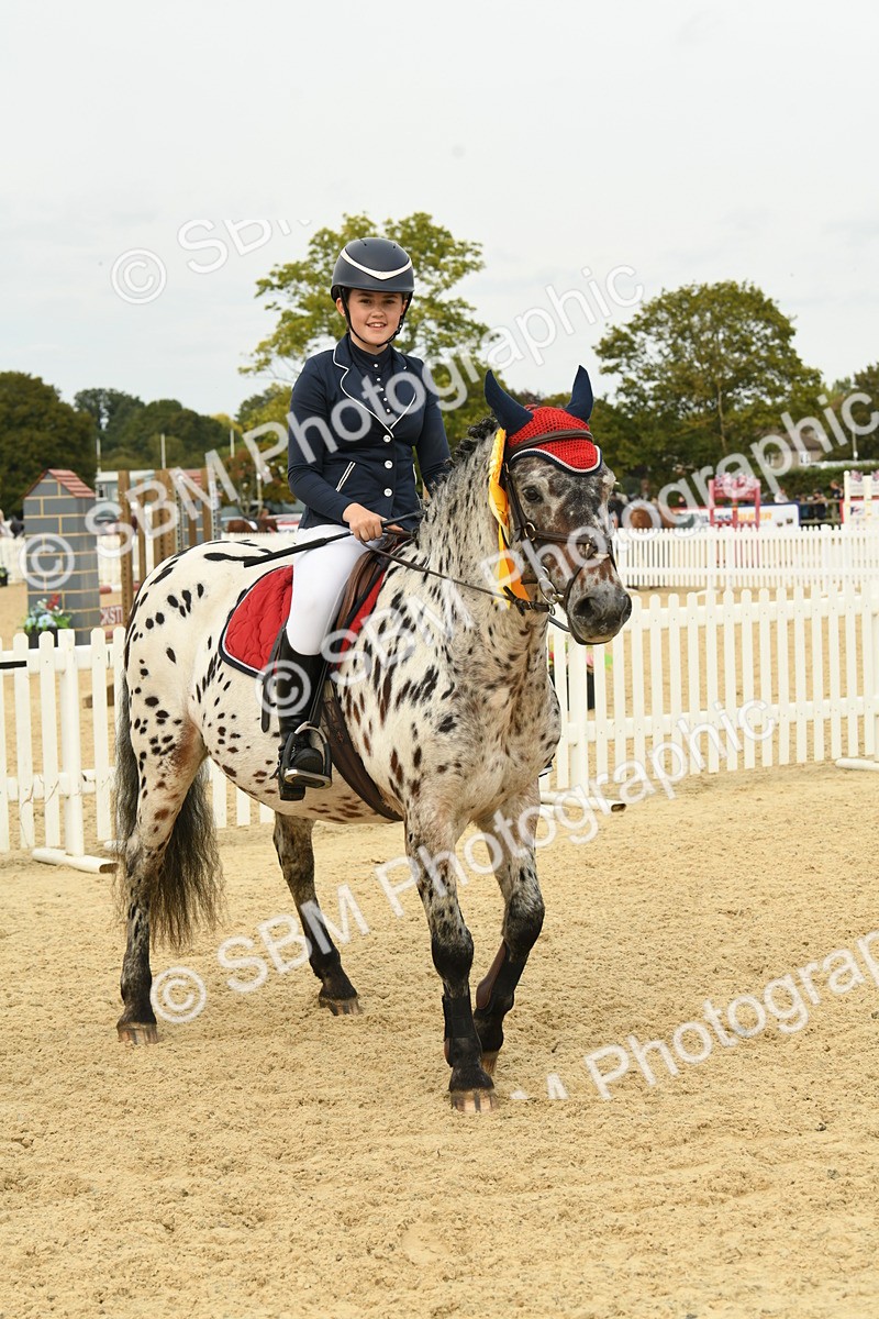 SBM_71175 - J15 - Junior Pony 70cm Championship
