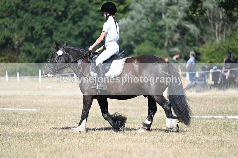 WJ7_9596 - Time 10:32 to 10:55