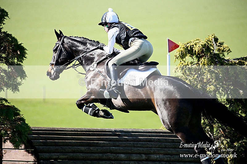 _LES5940a - Equestrian