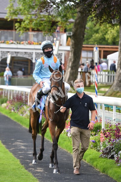 yr09072021r7-31 - Race 7 5.30pm William Hill Extra Place Races Stakes