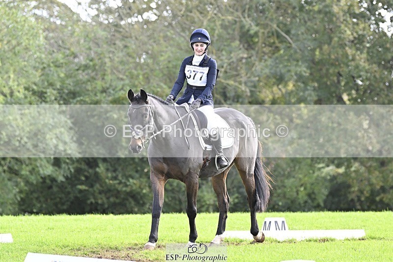 241025-132222-09435 - 377-Bethany.Hull-CARRICK.DIAMOND.OLIVER