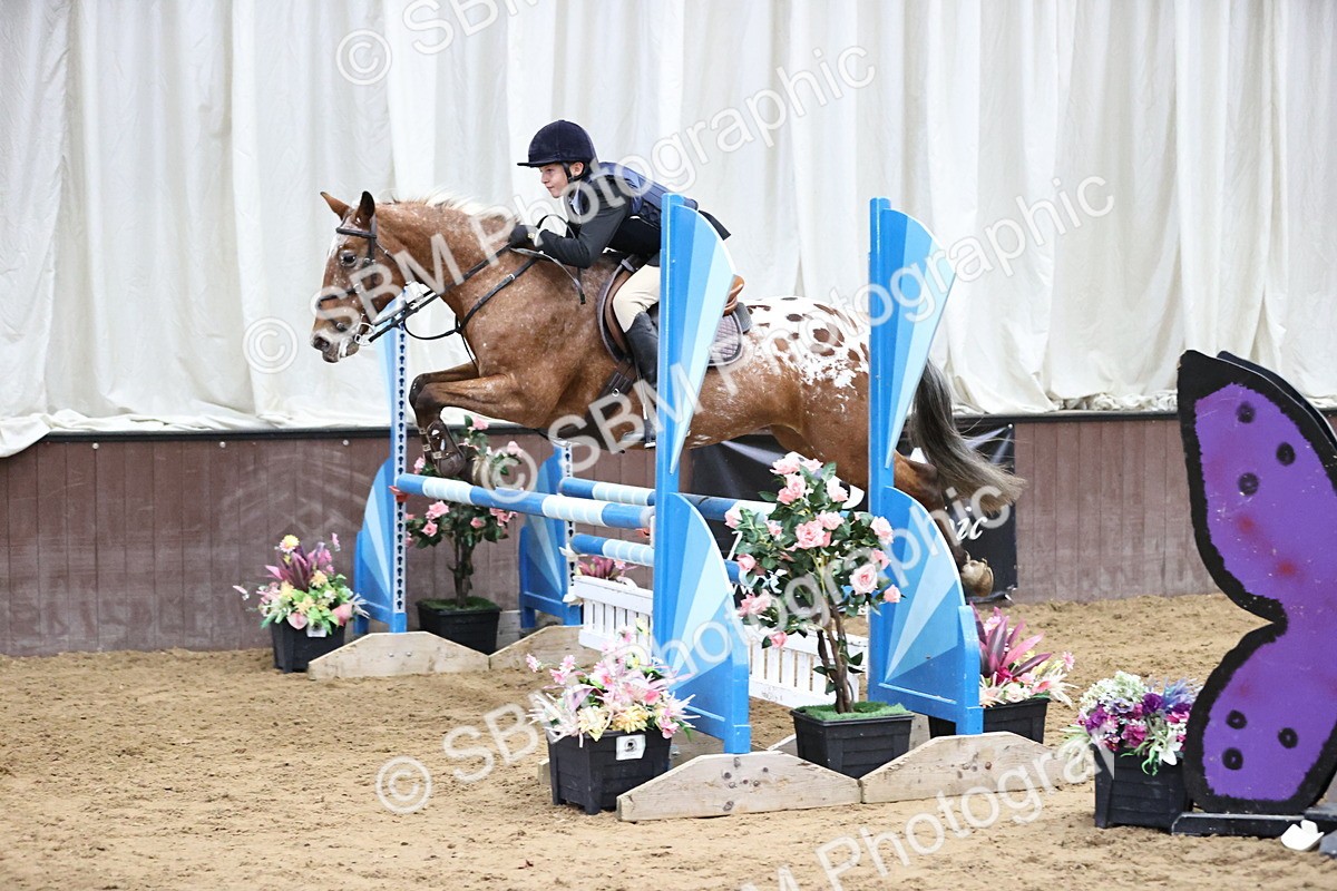 SBM_002402 - Class 11 - Pony Discovery - 90cm Open