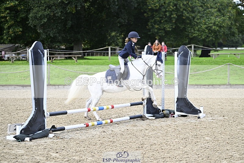 251005A-091116-02973 - Cls 02 GR 50cm