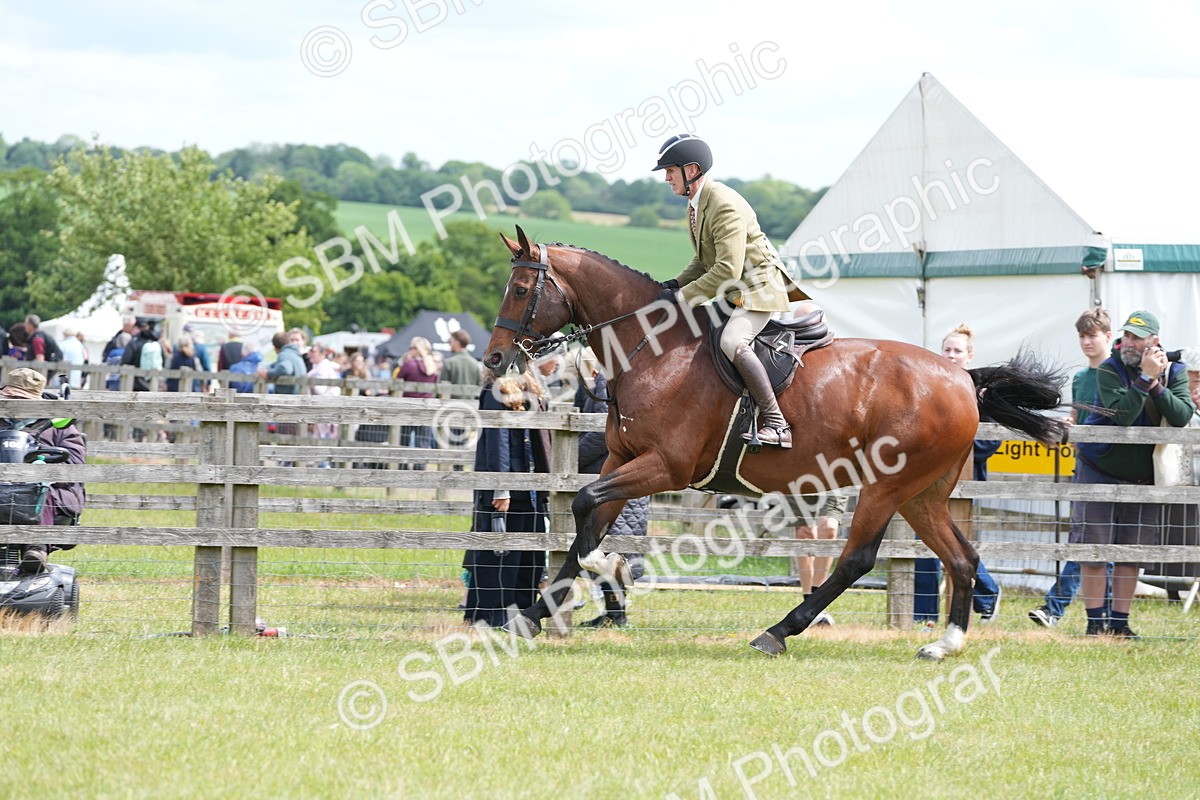 SBM_15020 - Class 100-102 - RIHS Working Hunter