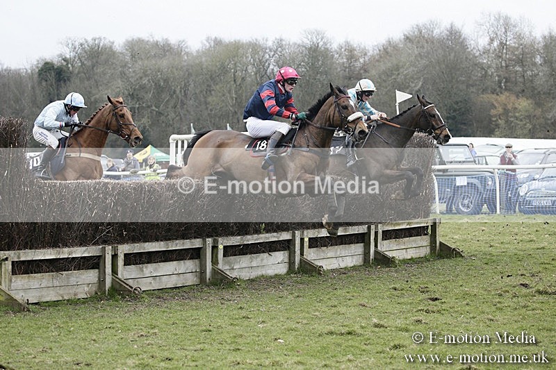 PtP 110318 402 - Hampshire Hunt Point-to-Point Hackwood Park 11/03/18