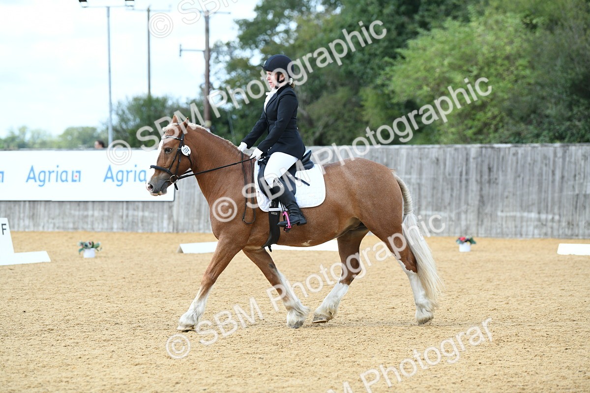SBM_03104 - D7 Small Tour Championship Prelim 1