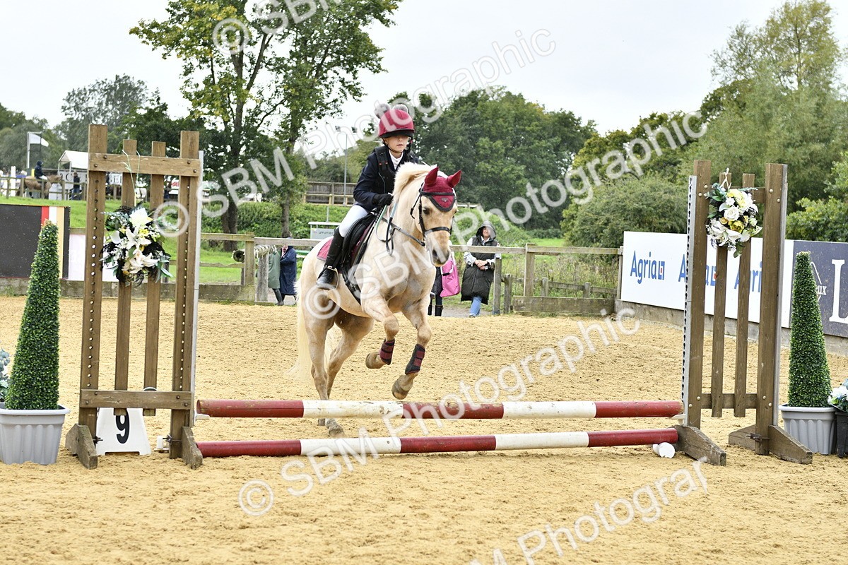 SBM_68463 - J2b - Mini Tour Junior Pony 30cm championship