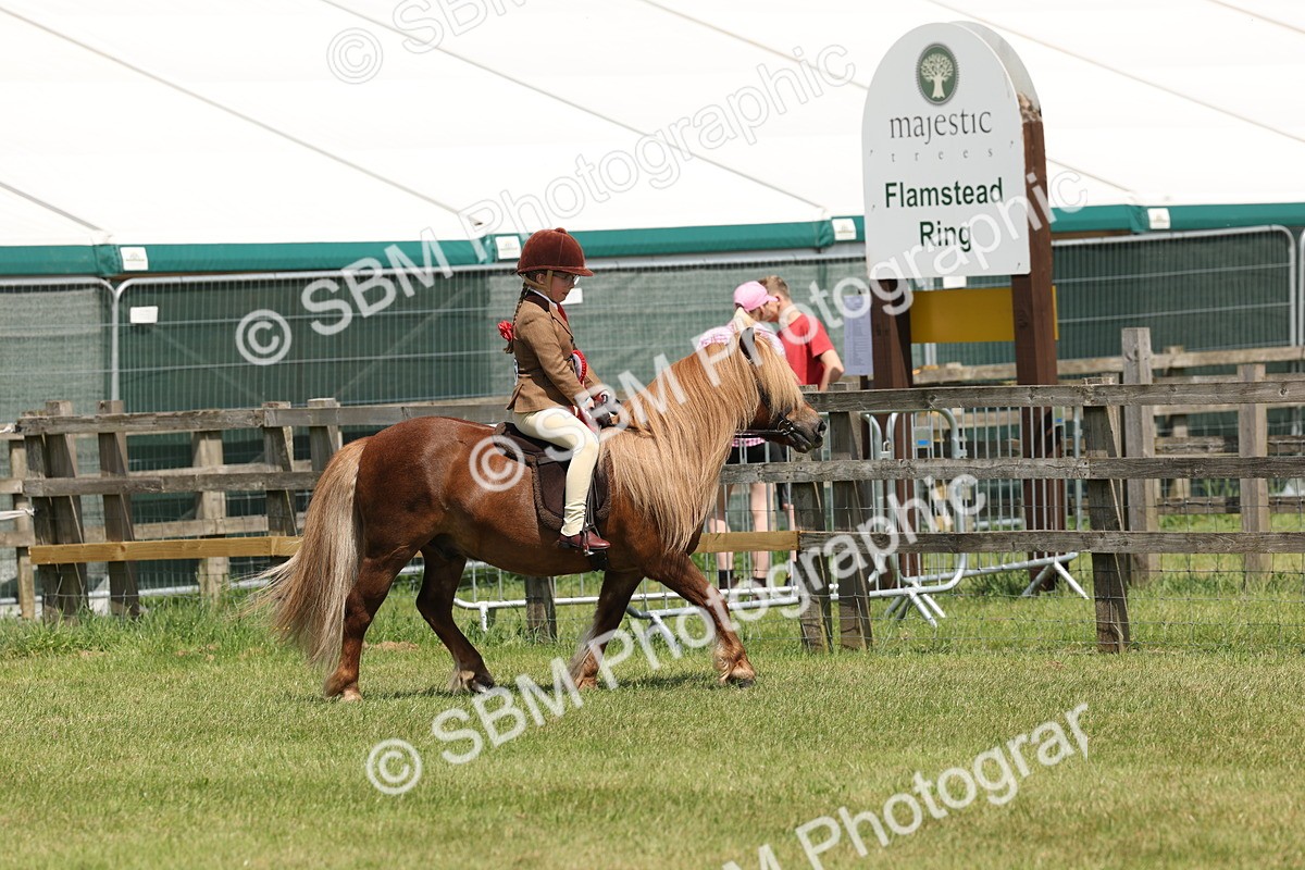 SBM_05377 - Class 24-25 - Mountain & Moorland In Hand Lead Rein and First Ridden