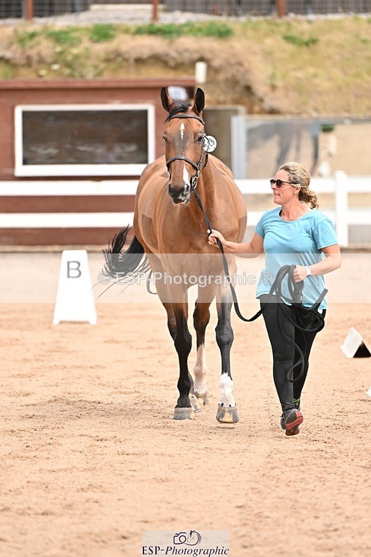 250716-150837-01676 - Trot Up 2.30 to 3.30