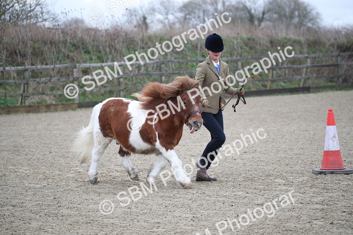 SBM_003924 - Class 1-4 - Young Stock classes Inc. In Hand Championship