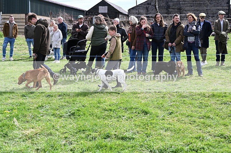 WJ6_8238 - Class 4 Prettiest Bitch