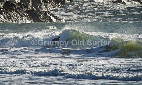 DSC_5603 - Porth Ceiriad 26th January 2018