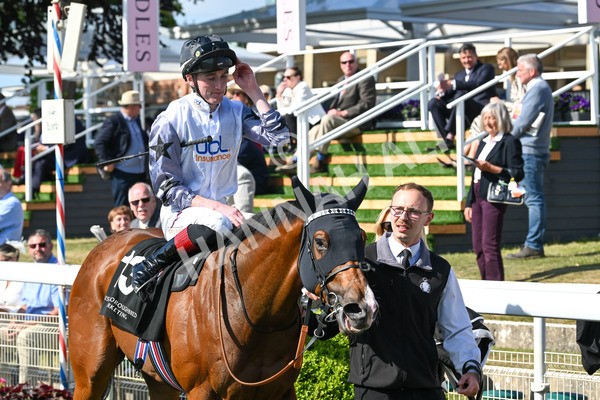 160525-Race 5-The Man-7097 - Race 5 4.15pm Irish Thoroughbred Marketing Handicap