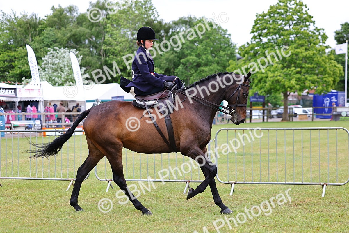 SBM_02869 - Class 9-11 Side Saddle including LIHS Rising Star Ladies Show Horse