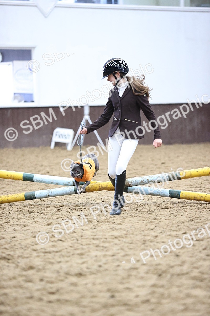SBM_001192 - Class 3 - Horse & Hound 60cm