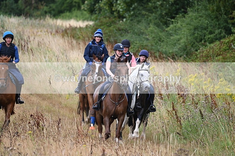 WJ6_2195 - Group 6?