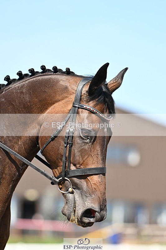 240816A-153846-05920 - 243-Leanne.Rocks-Fazakerley