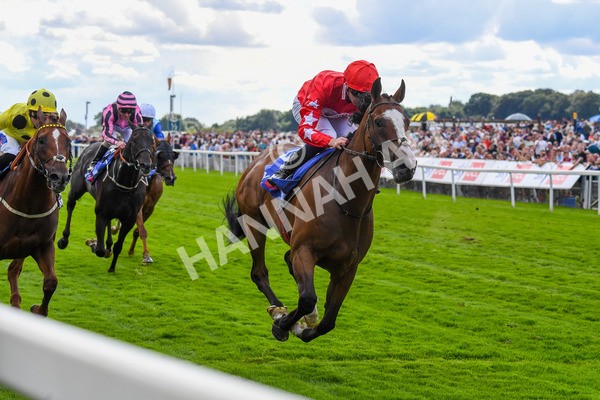 260823-Race 1-Spirit Dancer-0131 - Race 1 Sky Bet And Symphony Group Strensall Stakes