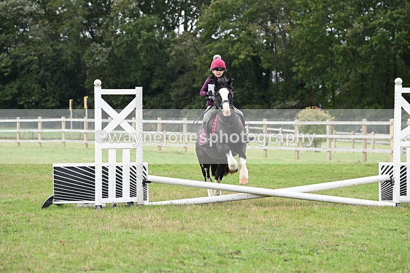 WJ6_0164 - 40cm Time 10:00 to 10:28