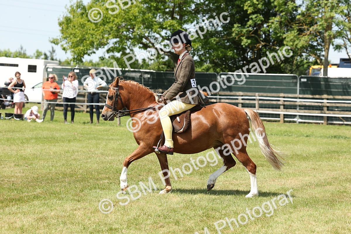 SBM_06757 - Class 26-30 - Mountain and Moorland Ridden