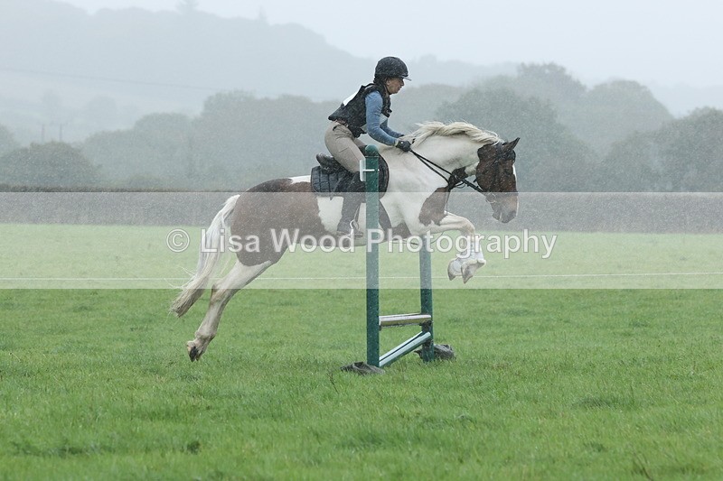 JPP_5046 - Class 1: 65cm : Showjumping