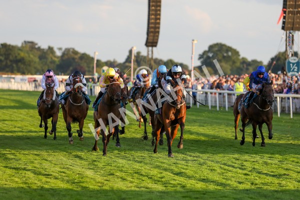 260724-Race 6-Duran-4190 - Race 6 8.20pm Sky Bet Go-Racing-In-Yorkshire Summer Festival Handicap