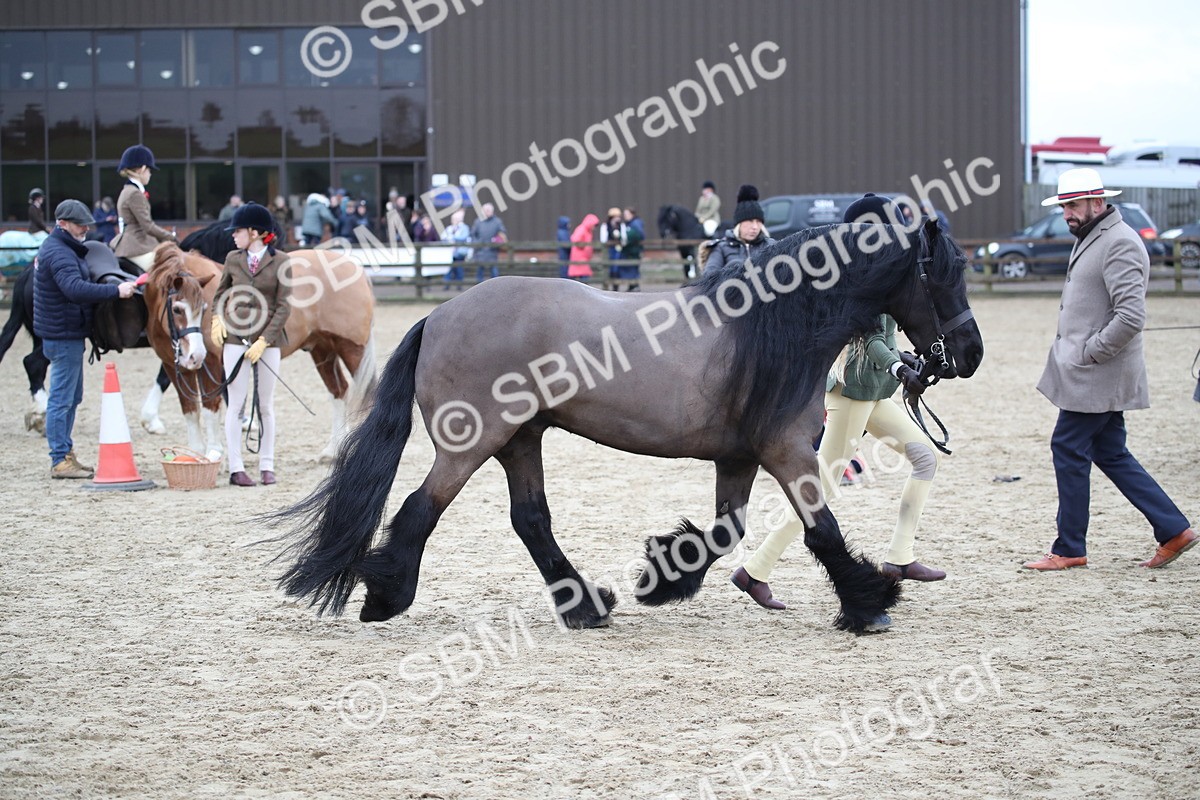 SBM_006185 - Class 10-13 - RIHS Small Large Breeds