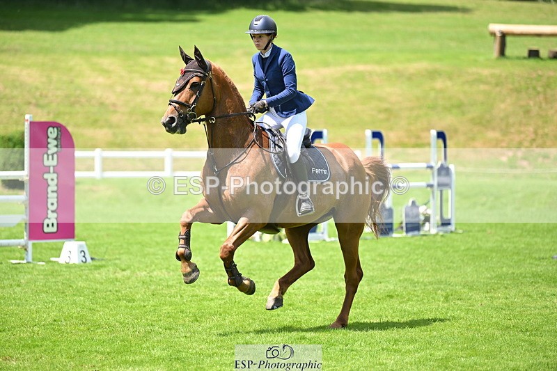250614A-134623-06956 - Cls 20 Foxhunter