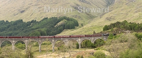 Jacobite train on Glenfinnan viaduct-2 - Scotland
