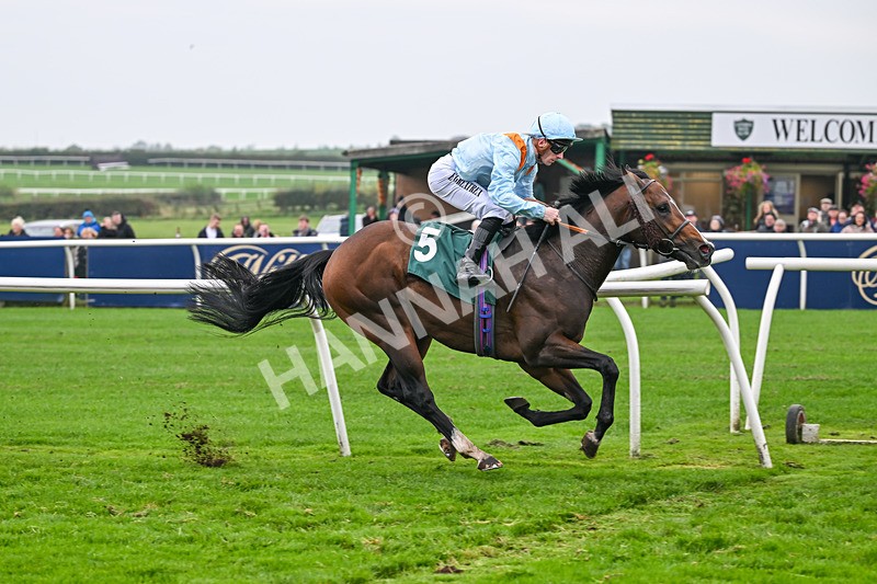 181025-Race 7-Lexington Blitz-1395 - Race 7