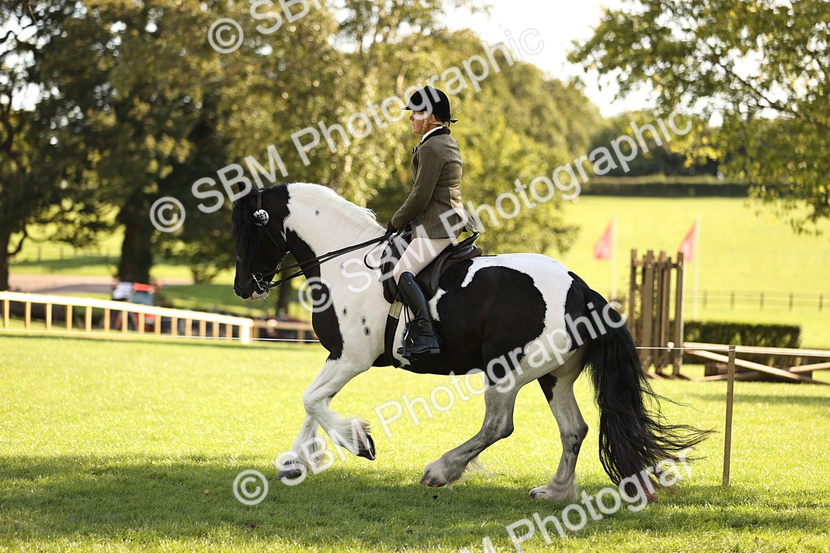 SBM_26431 - S6 - Novice & Newcomers Ridden Horse