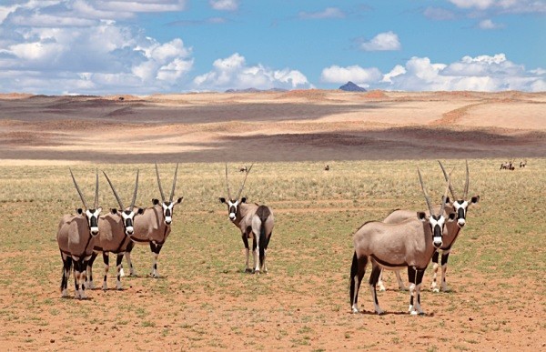  - Namibia