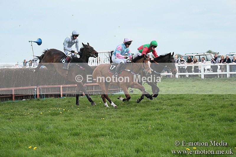 PtP 210418 203 - South & West Wilts Point-to-Point Larkhill 21/04/18