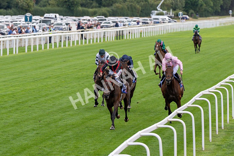 190826-Race 3-Maltese Cross-0319 - Race 3 15.00pm Sky Bet Great Voltigeur Stakes